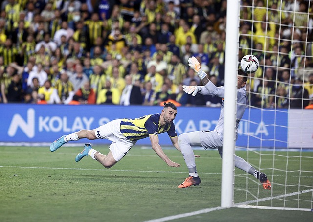 无疑将继续 无疑将继续