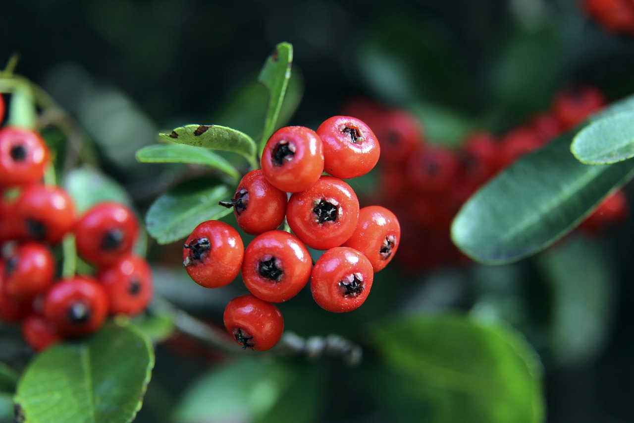 阵容配置中 阵容配置中